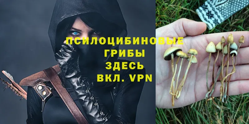 Псилоцибиновые грибы MAGIC MUSHROOMS Новая Ляля